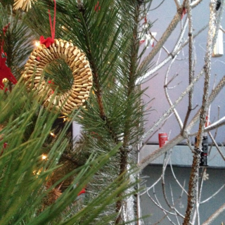 img_2109 Montessori-Schulzentrum Leipzig - Neuigkeiten Gymnasium - Wie der Advent am Montessori-Schulzentrum empfangen wird